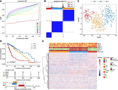 A Hypoxia-Related Long Non-Coding RNAs Signature Associated With Prognosis in Lower-Grade Glioma